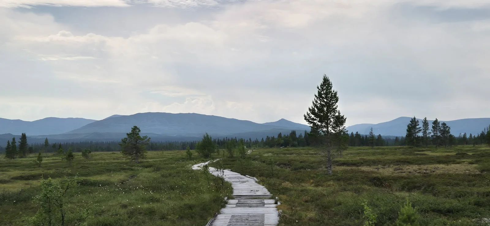 Fjällvandring, juli 2026