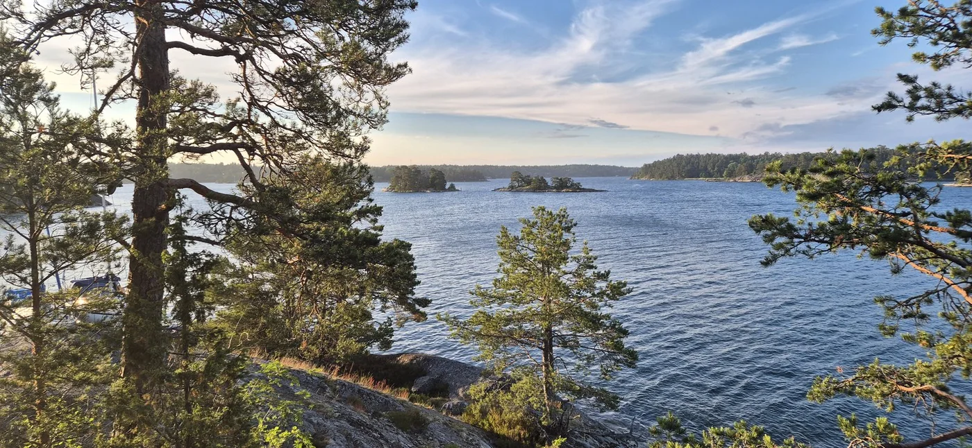 Tält i kvällsljus med solstrålar genom skogen, Ramsviken